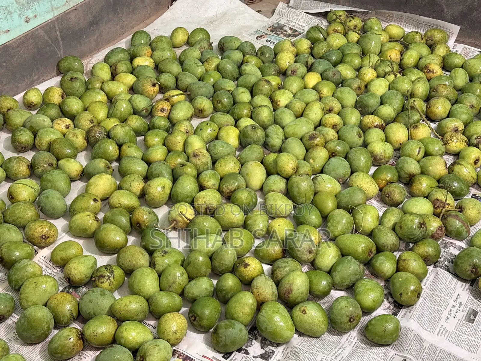 রাজশাহীর হিমসাগর