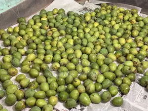 রাজশাহীর হিমসাগর