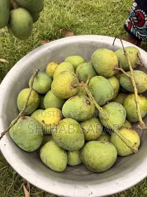 রাজশাহীর হিমসাগর