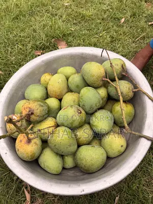 রাজশাহীর হিমসাগর
