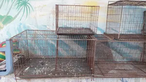 Some cages for sale