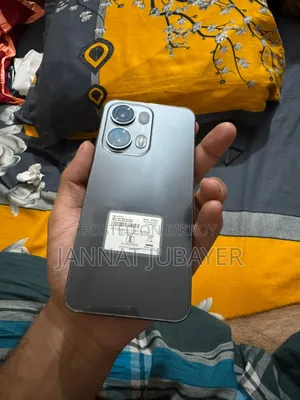 Oppo Reno13 Pro 12 GB Gray
