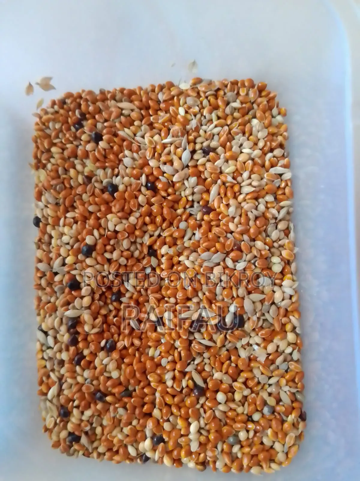 Premium Seed Mix (Essential for bird health)