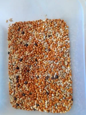 Premium Seed Mix (Essential for bird health)