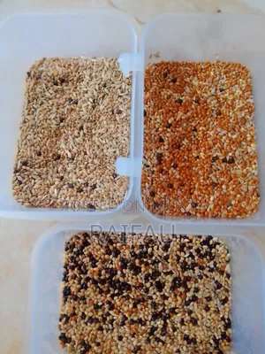 Premium Seed Mix (Essential for bird health)