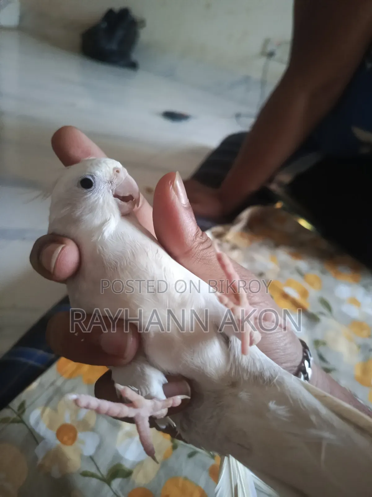 সুপার টেম ককাটেল