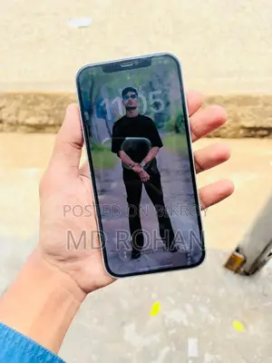 Apple iPhone 12 Pro Max 256 GB White