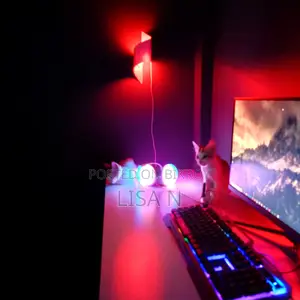 Desktop Computer 16GB AMD Ryzen 5 SSD 256GB