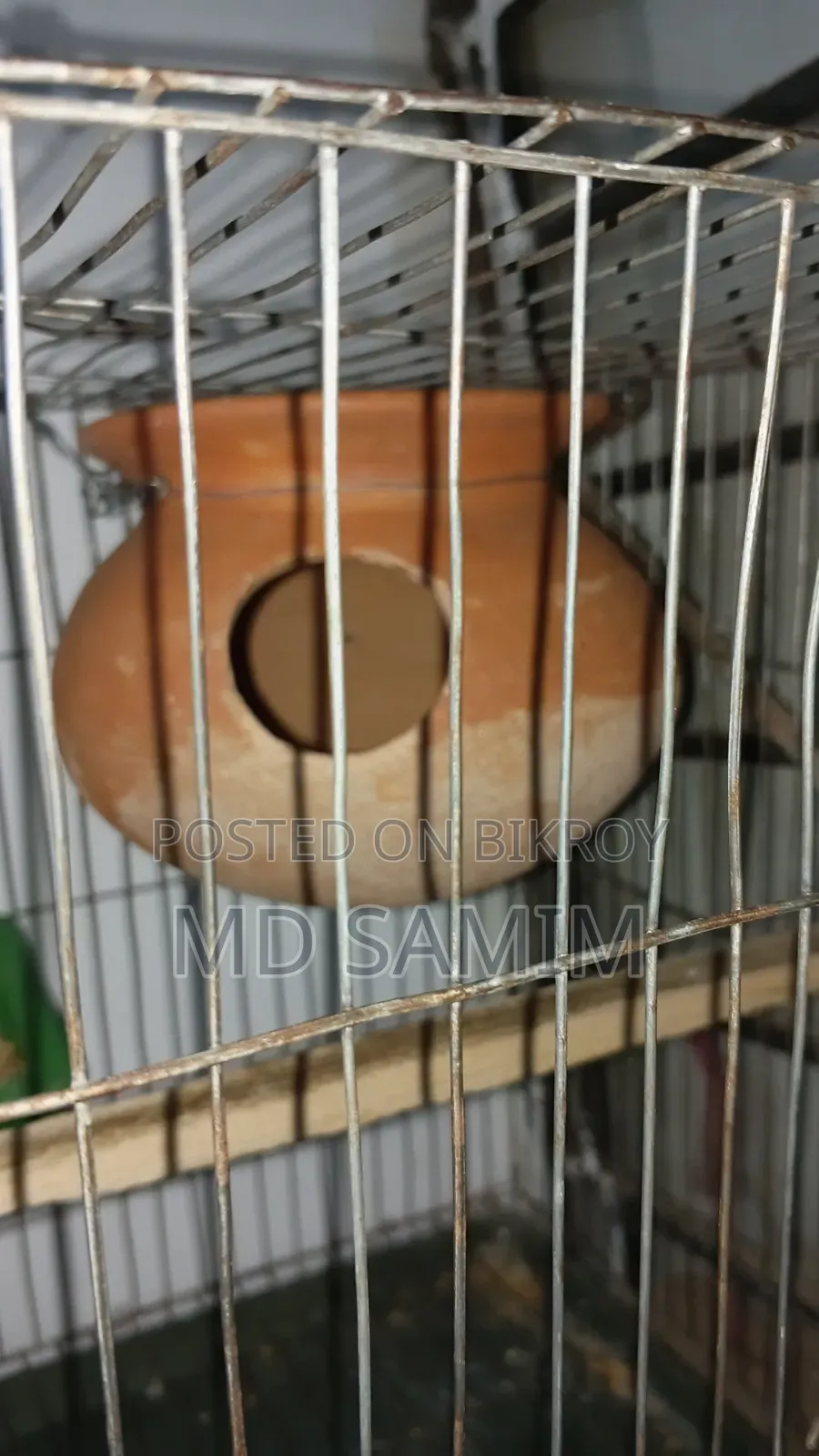 One pair of Budgerigar birds for sale including cage