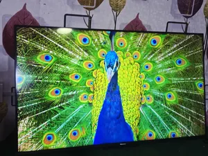 Hisense 43" Handsfree Voice TV (With Box)