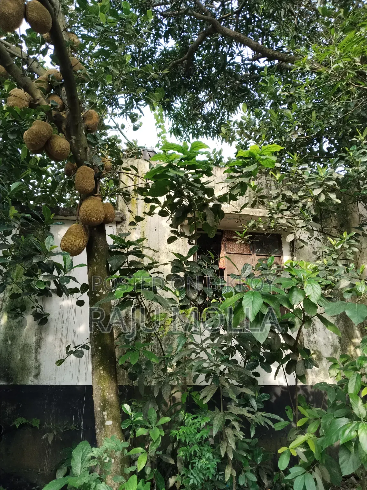 4-bedroom House in Puratan Bari, Khilkhet for Sale