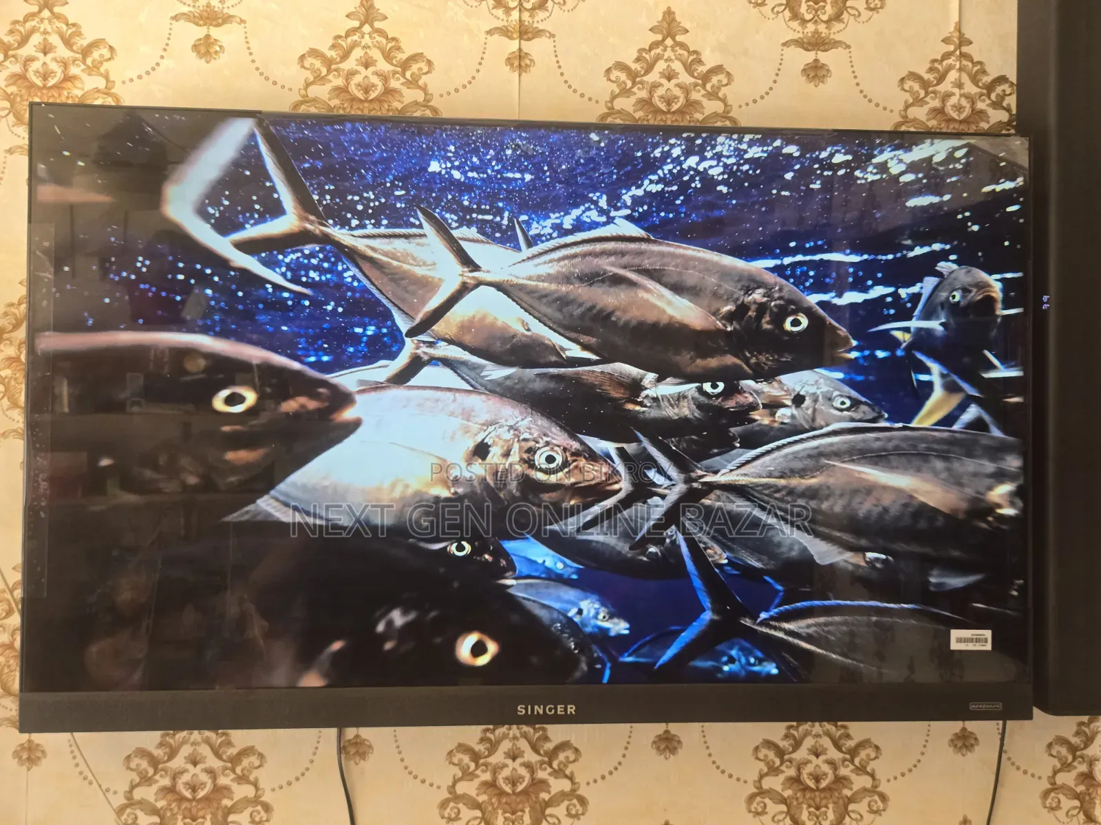 Singer 50" Voice Control TV (Borderless) 1 Year Warranty
