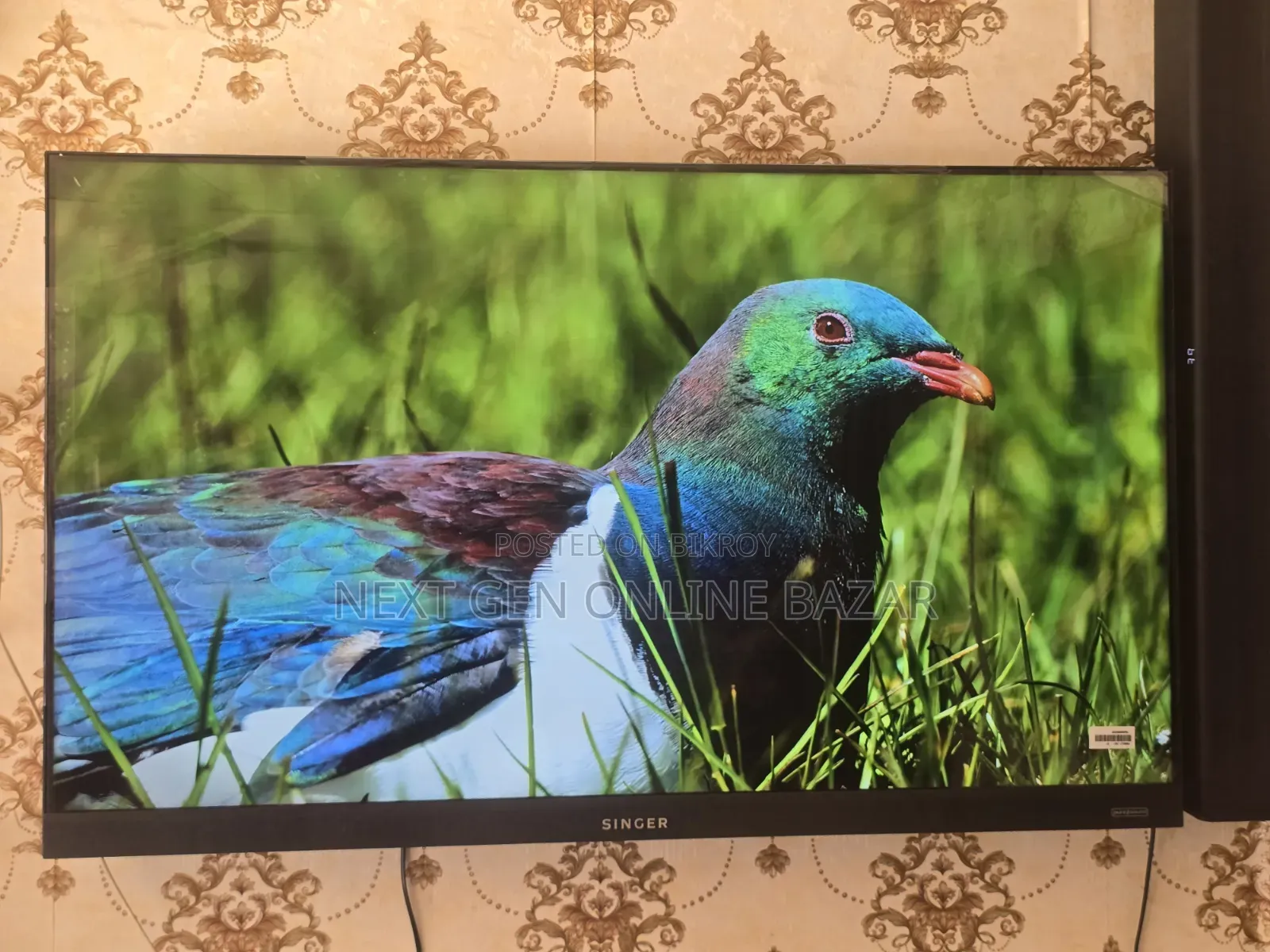 Singer 50" Voice Control TV (Borderless) 1 Year Warranty