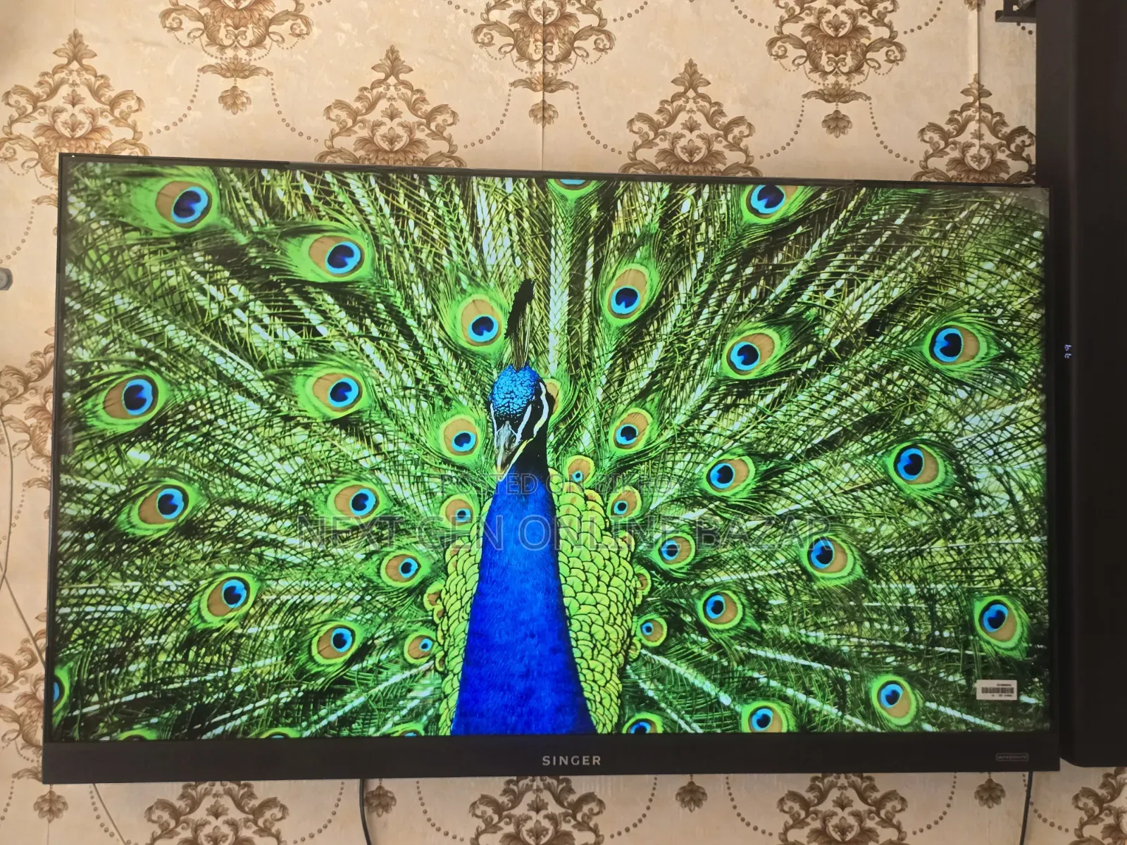 Singer 50" Voice Control TV (Borderless) 1 Year Warranty