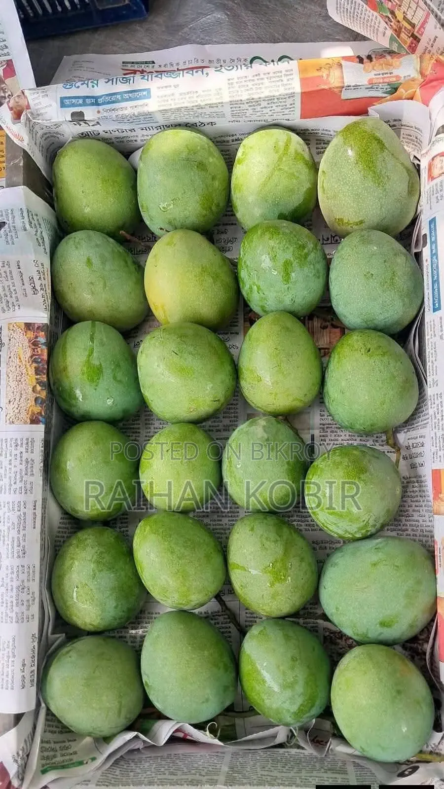 হিমসাগর আম। প্রতি কেজি