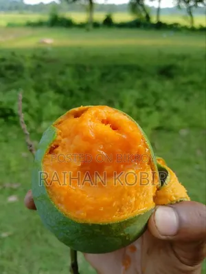 হিমসাগর আম। প্রতি কেজি