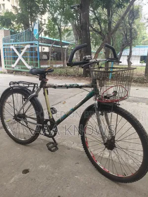 Bicycle