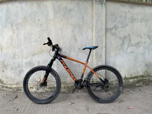 Bicycle Phoenix