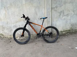 Bicycle Phoenix