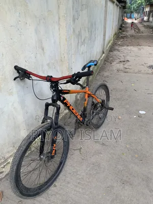 Bicycle Phoenix