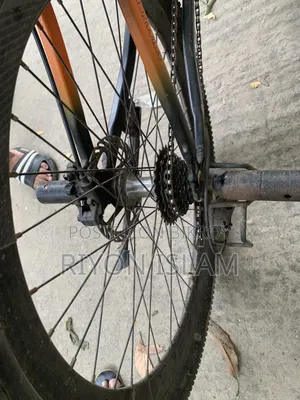 Bicycle Phoenix