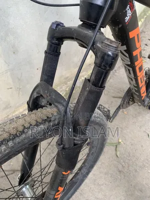 Bicycle Phoenix