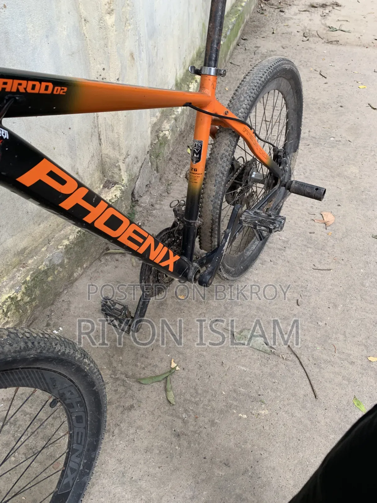 Bicycle Phoenix