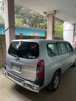 Toyota Probox 2010 Silver