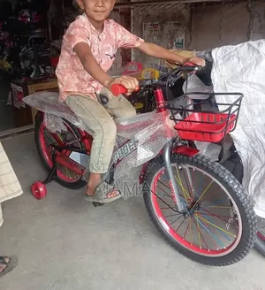 Cycle Phoenix