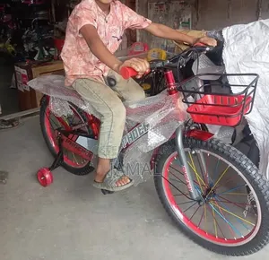 Cycle Phoenix