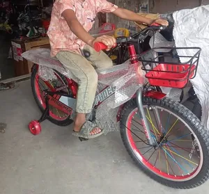 Cycle Phoenix