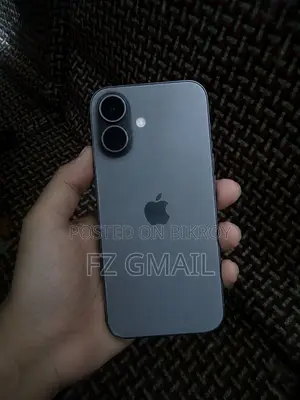 Apple iPhone 16 Pro 256 GB Gray