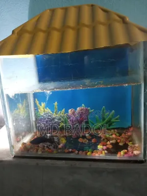 Aquarium with fish