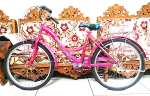 Bicycle for (10-12) year old girls