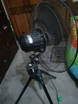 Walton Fan