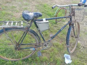 Running bicycle, no problems