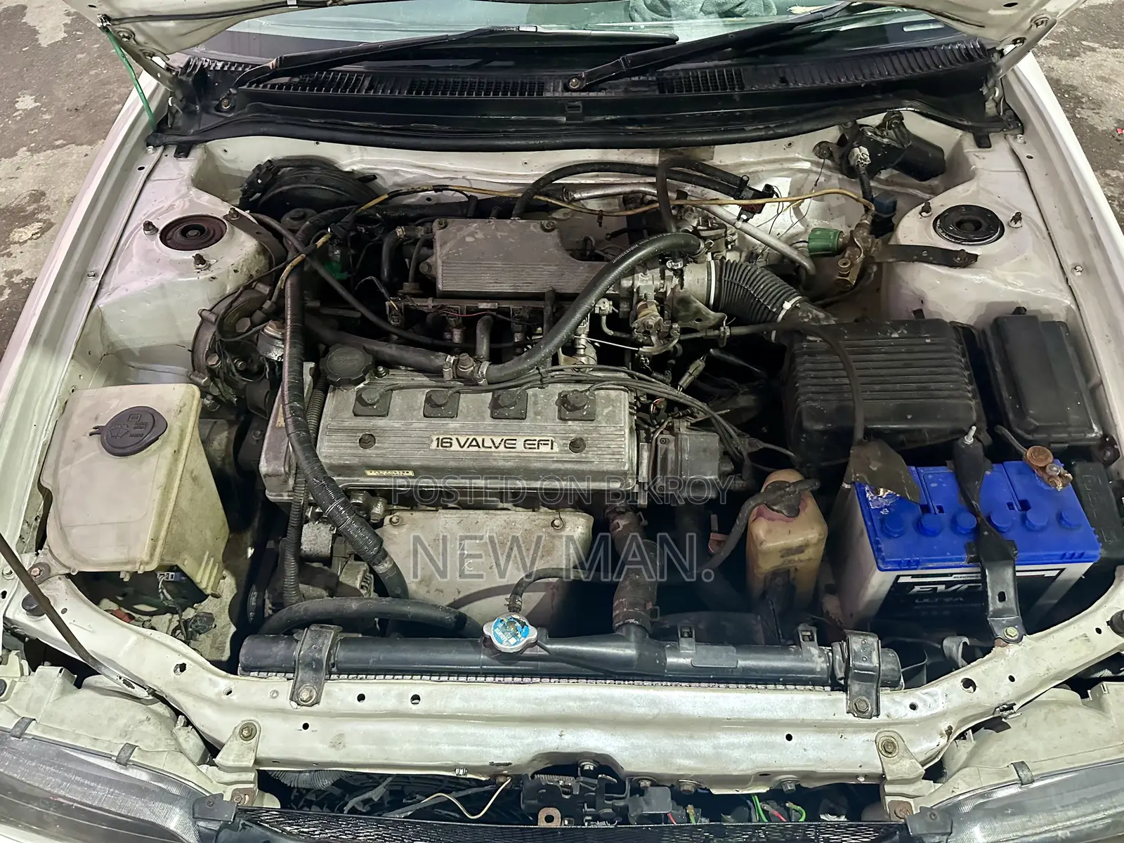 Toyota Corolla II 1994 Pearl