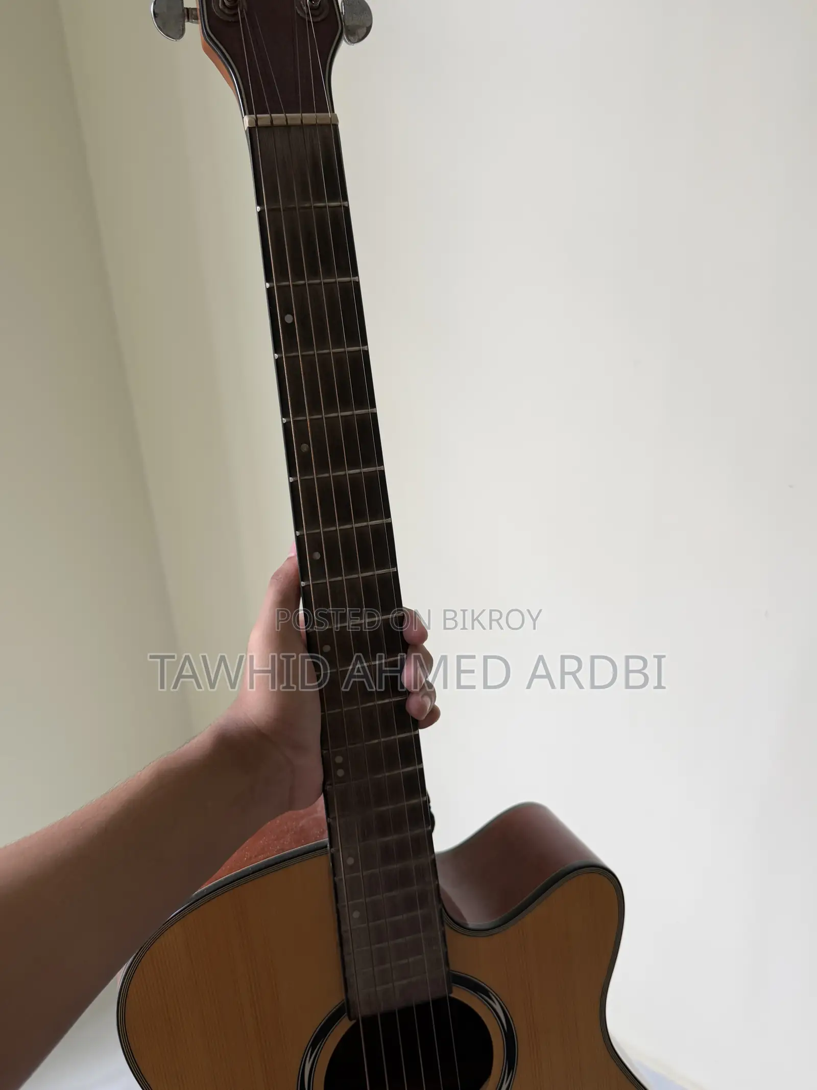 Deviser Guitar