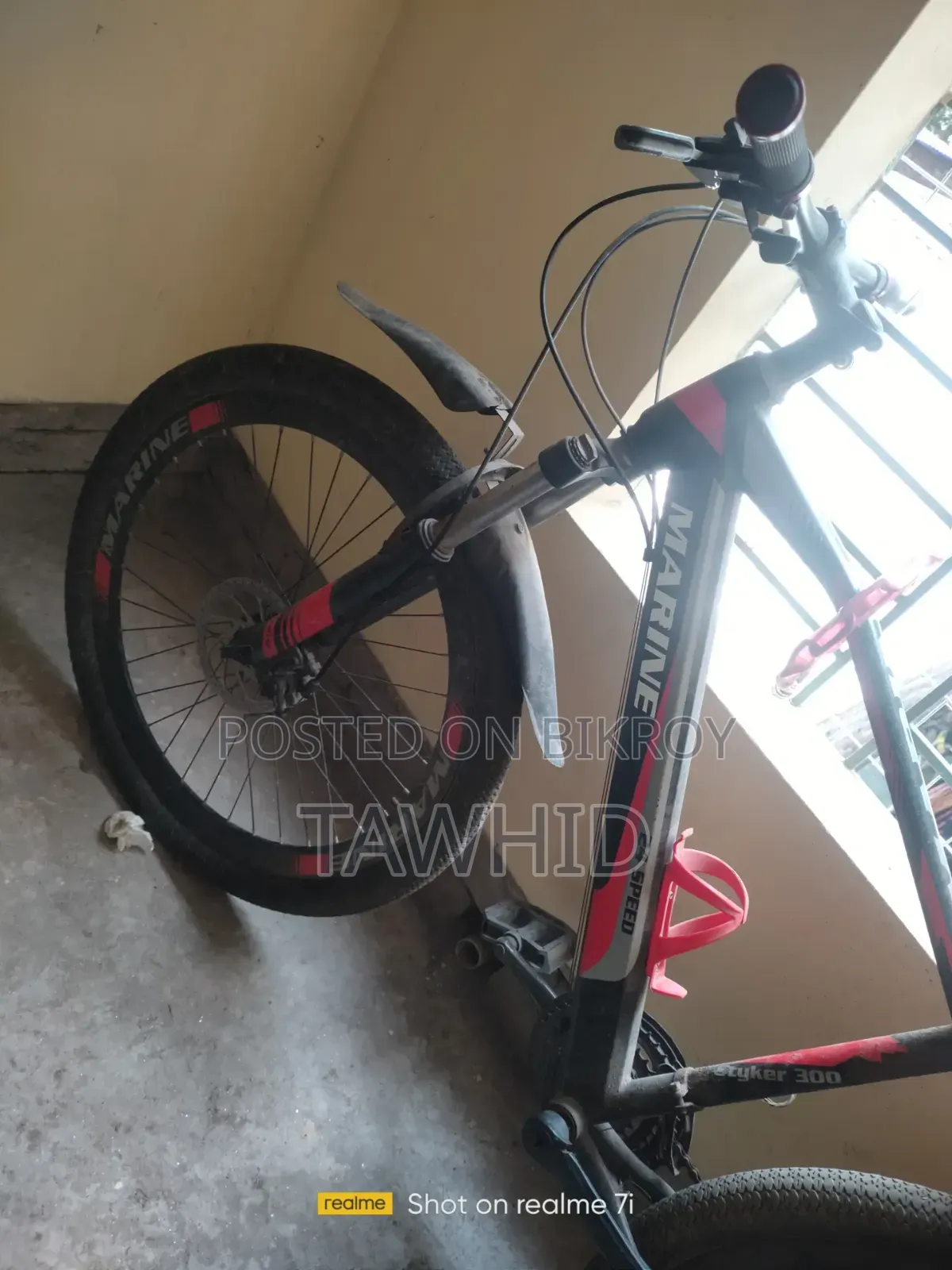 Marine Bicycle