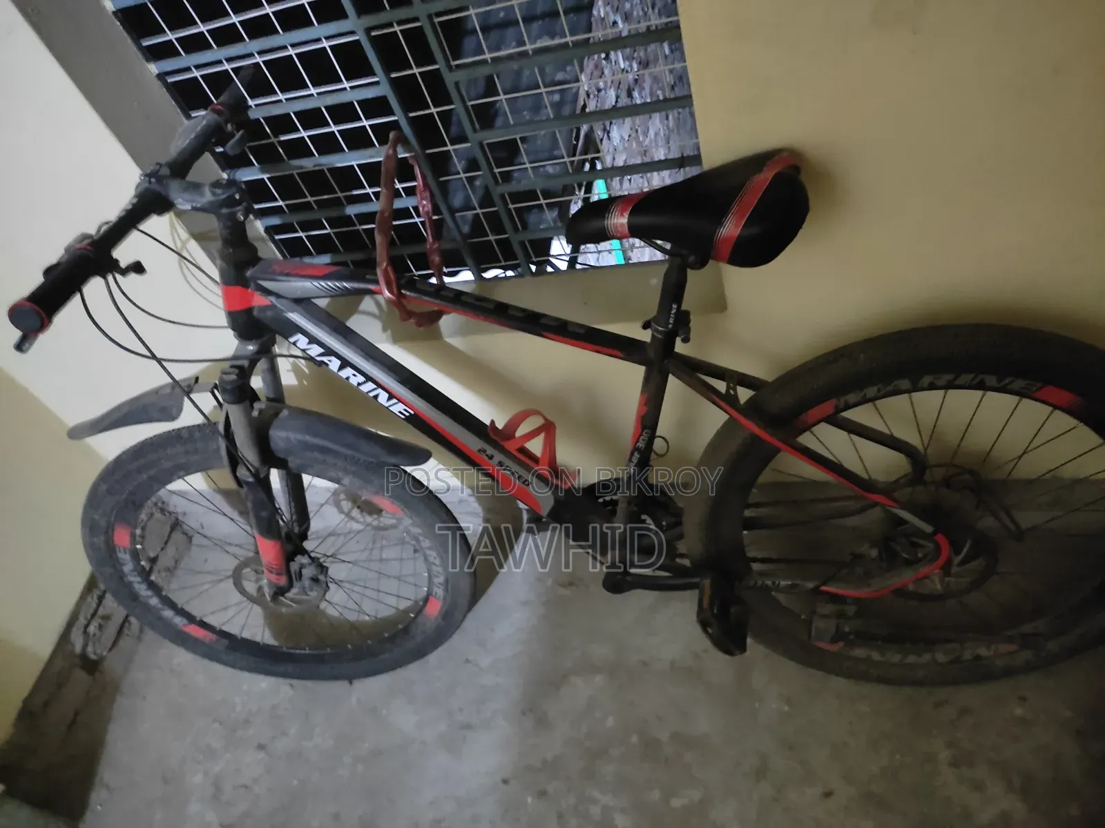 Marine Bicycle