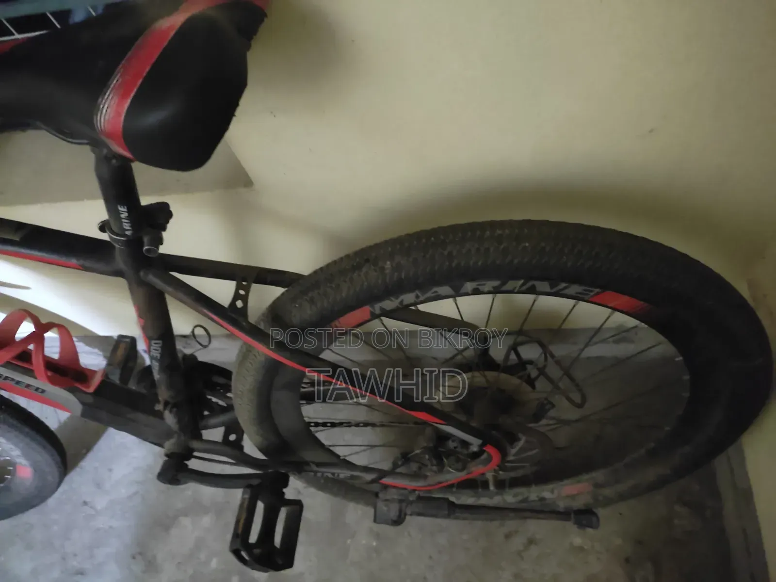 Marine Bicycle