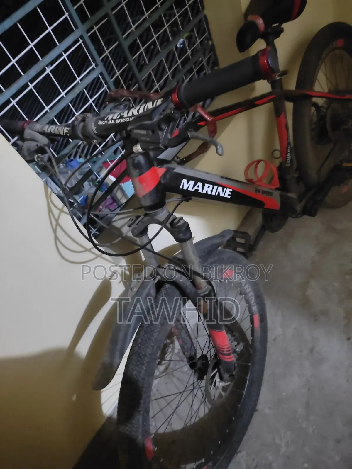 Marine Bicycle
