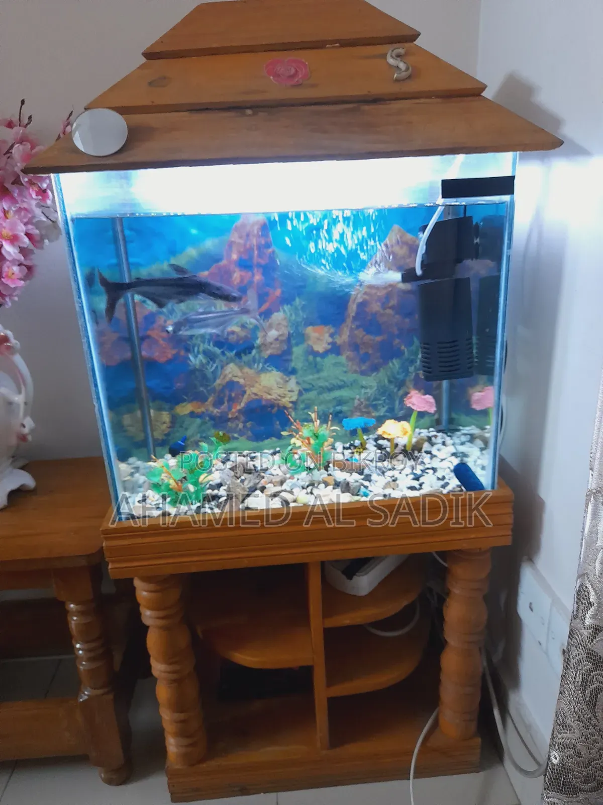 Fish Aqarium