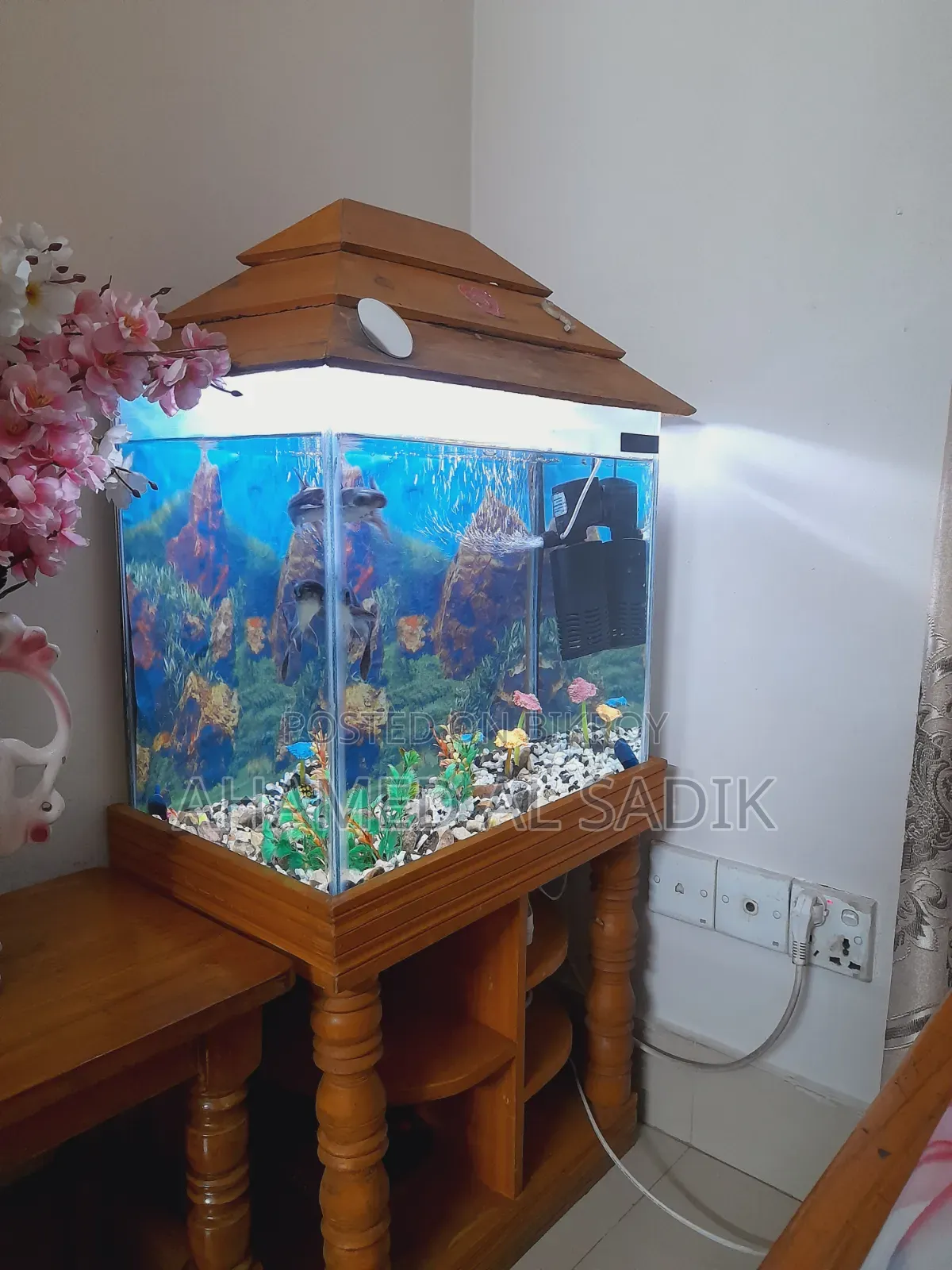 Fish Aqarium