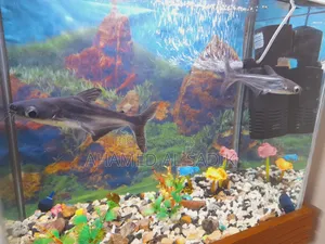 Fish Aqarium