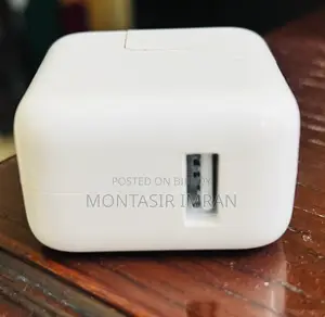 Apple Original 12W Adapter (iOS/iPhone)