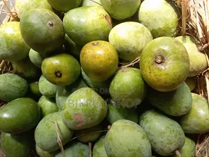 Fresh Himsagar Mangoes
