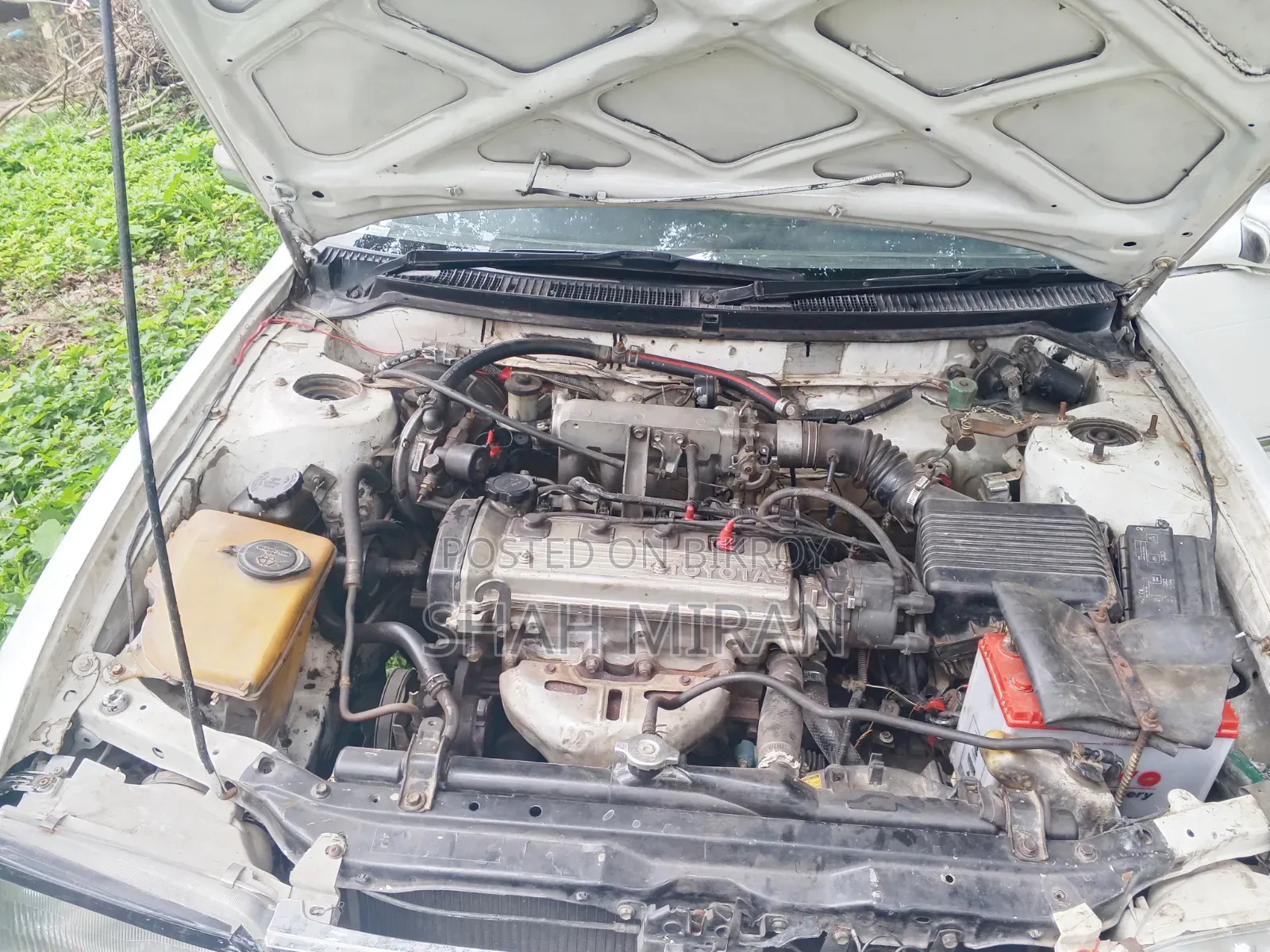 Toyota Corolla II 1994 White