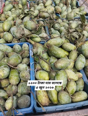 Sahaphar Wholesale Mango Market