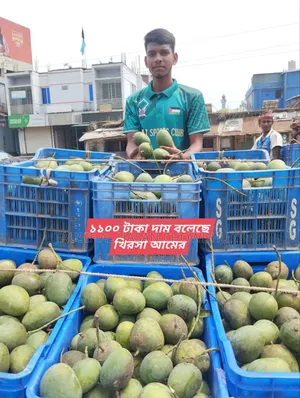 Sapahar Wholesale Mango Market